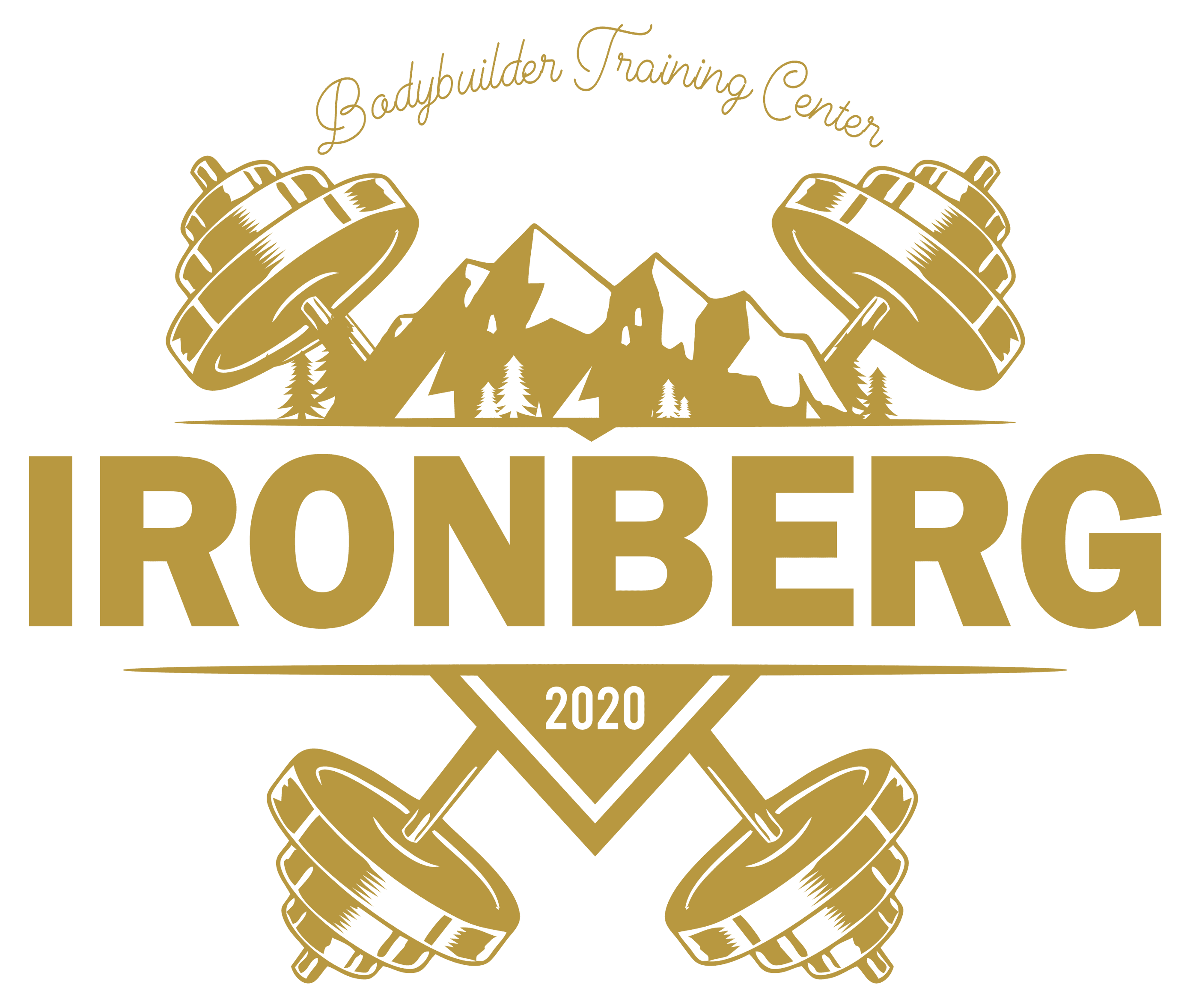 Logo Ironberg Brasília